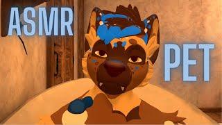 [Furry ASMR] Wild Dog Pampers His New Pet (Personal Attention, Bath, Brushing, Paws, Tapping)