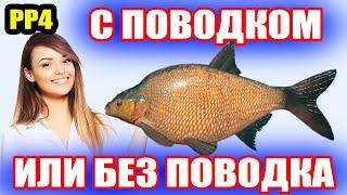 С Поводком или БЕЗ? Лучший РЕЗУЛЬТАТ на ЛЕЩА ● Русская Рыбалка 4 | РР4