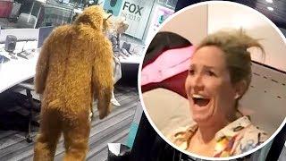 Fev Scares Daylights Out Of Fifi For Her Birthday | Fifi, Fev & Byron