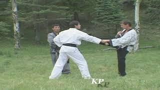 Hapkido vol1-2