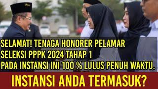 SELAMAT! Tenaga Honorer Pelamar Seleksi PPPK 2024 Tahap 1 pada Instansi Ini 100% Lulus Full Time.