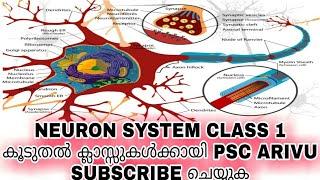 LDC 2020||Nervous system in human body||PSC ARIVU||Class 1