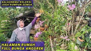 HALAMAN RUMAH FULL BUNGA ANGGREK.