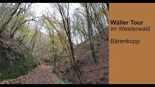 Wäller Tour „Bärenkopp“ – Tagestouren im Westerwald