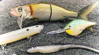 Top 5 Baits For August Bass Fishing!