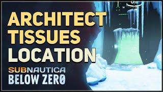 Architect Tissues Location Subnautica Below Zero