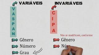 Classe de Palavras - Você vai GABARITAR!