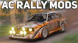 How To Turn Assetto Corsa Into a Rally SIm!!