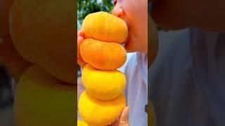 Yellow Peach Fruit Very Fresh Enjoy Taste in Natural Farm #testing #harvest #fresh #peach