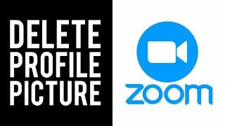 How To Delete Zoom Profile Picture on PC (2021)