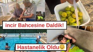 Kusadasi Vlog! Ortaklar Koyu ve incir Bahceleri! Sicaktan Kurdesen Doktu!#hollandadanatesailesi