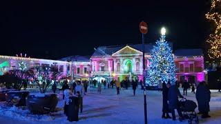 We go to the Christmas tree ️️ Klaipėda 2025 01 05 #tree #christmastree #city