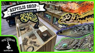 TOURING AN AWESOME REPTILE SHOP IN FRANCE! (Reptilis Shop)