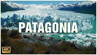 Viaje en coche por PATAGONIA (Chile y Argentina) 