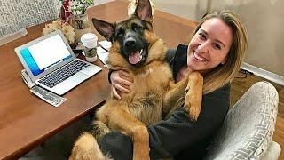 When a dog is the joy of your life  Funny Dog and Human