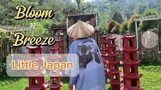 Bloom n breeze little Japan #adventuretime #naturelovers #lakwatcheronghilaw