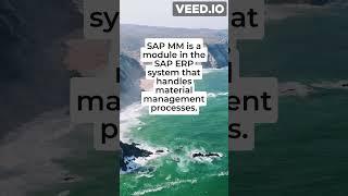 #1  What is SAP MM? What are its key components?