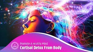 Detox Your Body From Cortisol - Combat Stress, Improve Your Mood, And Promote A Healthy Mind