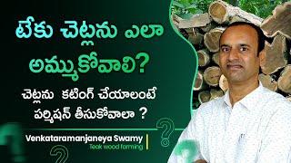 Do We Need Permission To Cut Teak Wood? Teak Wood Farming Details In Telugu | Ramanjaneya