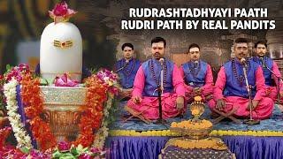 Rudrashtadhyayi Paath | Complete Rudri Path | Rudram Namakam Chamakam by North Indian Brahmins
