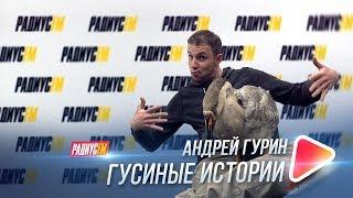 Гусиные истории. Андрей Гурин и его гусь Харвистер