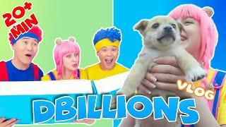 The Best Animal Rescues! (Taking care of animals and pets) | D Billions VLOG English