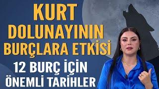 KURT DOLUNAYININ BURÇLARA ETKİSİ! 12 BURÇ İÇİN ÖNEMLİ TARİHLER...