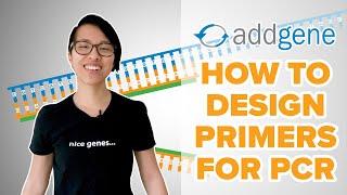 How to Design Primers for PCR