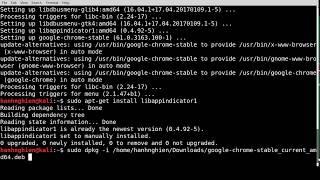 [Kali] Errors were encountered while processing: google-chrome-stable