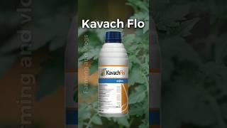 Kavach FloSyngenta|fungicide|#syngenta #fungicide #shortsfeed #farming #agriculture #shorts #viral