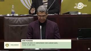 ACDP MP, Wayne Thring: Budget Vote 31: Employment and Labour