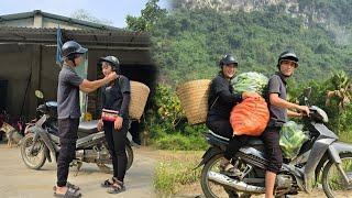 giang nga and Phong rented a motorbike, harvested a lot of cucumbers to sell at the market.