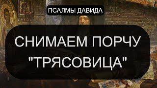 СНИМАЕМ ПОРЧУ "ТРЯСОВИЦА"