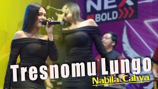 Tresnomu Lungo || [ lLIVE PERFORMNACE_FERDY MUSIC ] || Nabila Cahya