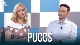 Puccs: Karácsony Gergely nagyon ráérzett valamire a Z generációs fiataloknál