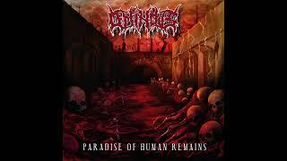 Ominovs - Paradise of Human Remains (Full Album 2024)