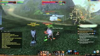 ARCHEAGE test