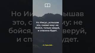 Не бойся, только веруй – [От Луки 8:50]