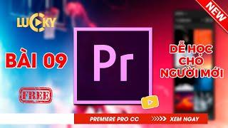 Bài 9: Cách chỉnh âm thanh (audio) và lọc tạp âm, tiếng ồn (khử noise) trong Adobe premiere