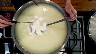 Goat Milk Jack- Cheesemaking at Home