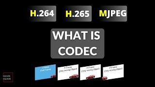 What is CODEC? H.264, H.265, MJPEG explained