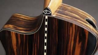 Beardsell Macassar Ebony Guitar at Guitar Gallery