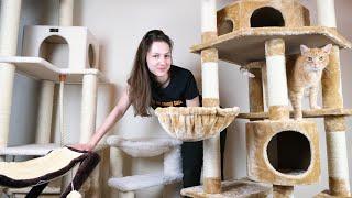 Top 5 Best Cat Trees (We Tried Them All)