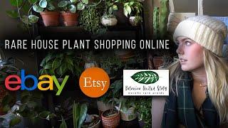 Rare House Plant Shopping Online! Rare Plant Shopping on Etsy, Ebay, and Botanicarus!