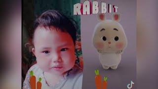 Tik Tok compilation Super Cute Fat Rabbit | Si embul kelinci lucu bikin ngakak
