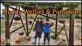 Muddy Wellies | Pumpkin Picking at Tulleys Farm | Mud glorious Mud: Abajam TV ep91.