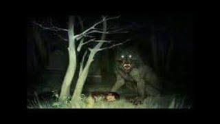 Dogman or Werewolf caught on trailcam