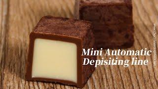 The Mini automatic chocolate depositing line can make single-, two-, and three-color depositing.