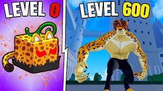 Going From NOOB to PRO With LEOPARD FRUIT In Roblox Blox Fruit Hindi Gameplay