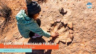 Exploring Dinosaur Tracks, an Interesting Hike Near Kanab, UT